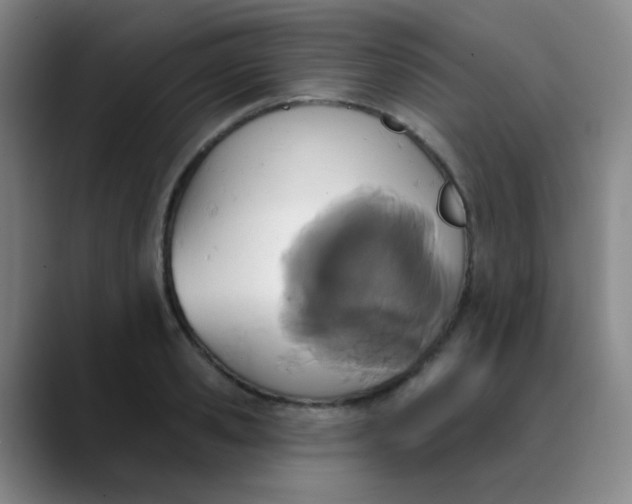 X0000088710941200706141446