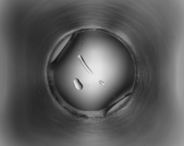 X0000088710942200706141446