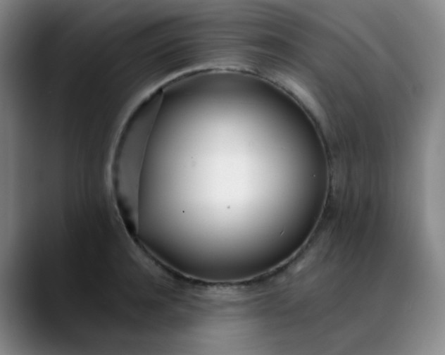 X0000088710944200706141446