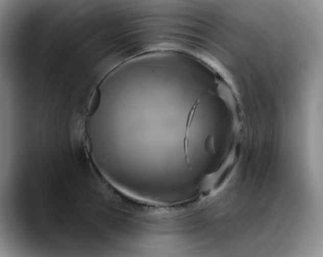 X0000088710945200706141446