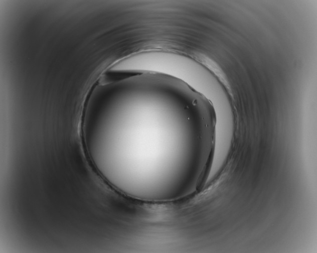 X0000088710946200706141446