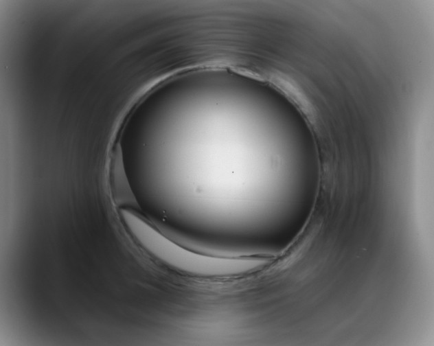 X0000088710948200706141446