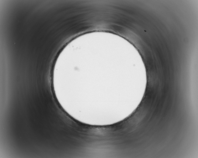 X0000088710950200706141446