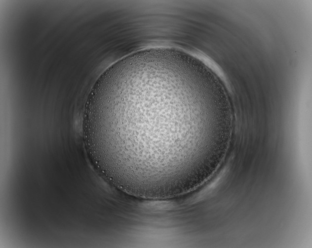 X0000088710953200706141446