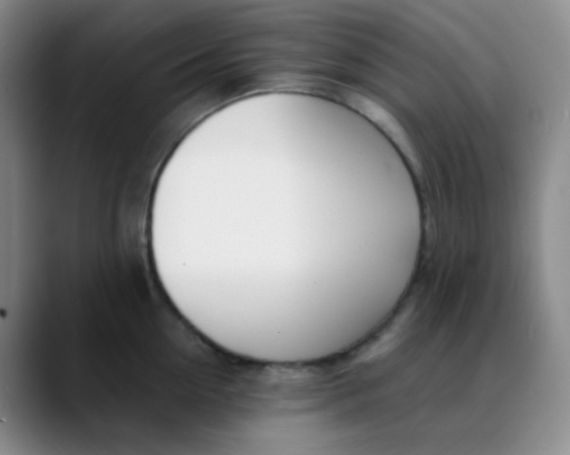 X0000088710954200706141446