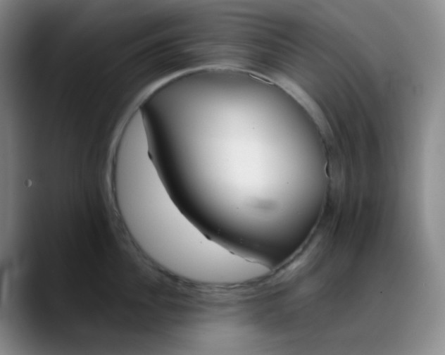 X0000088710956200706141446