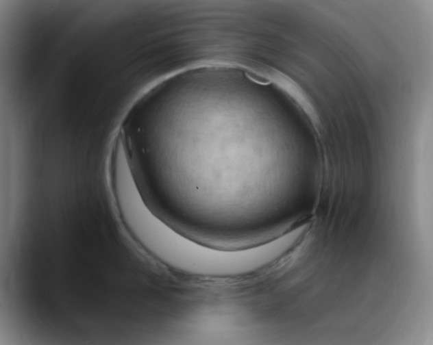 X0000088710958200706141446