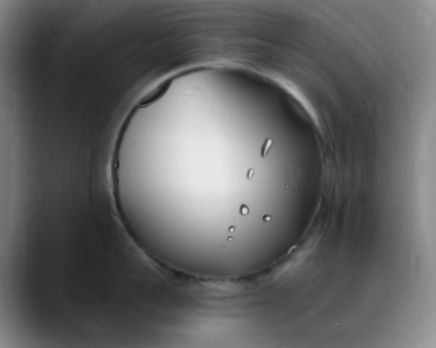 X0000088710959200706141446