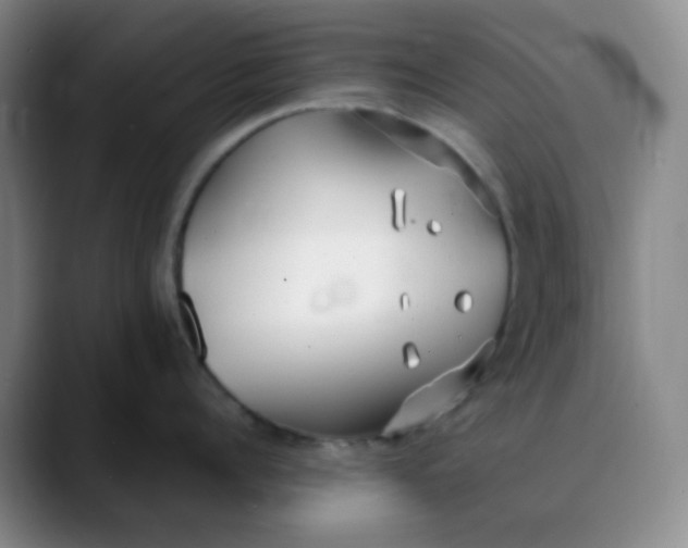 X0000088710960200706141446