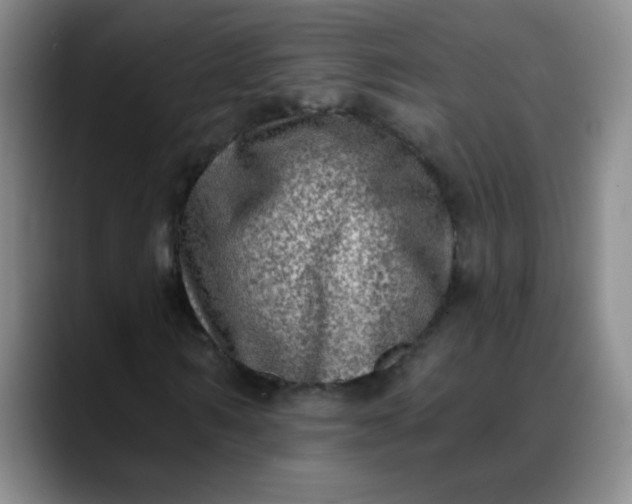 X0000088710962200706141445