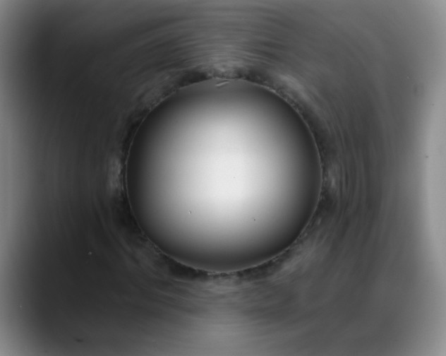 X0000088710964200706141445