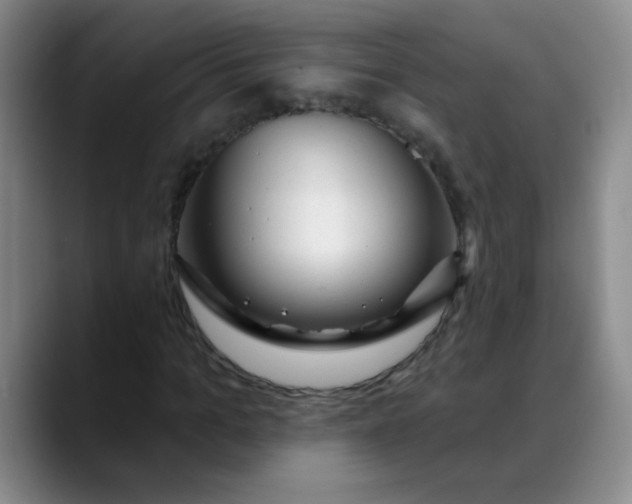 X0000088710965200706141445