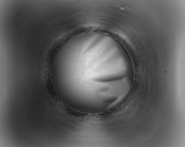 X0000088710967200706141445