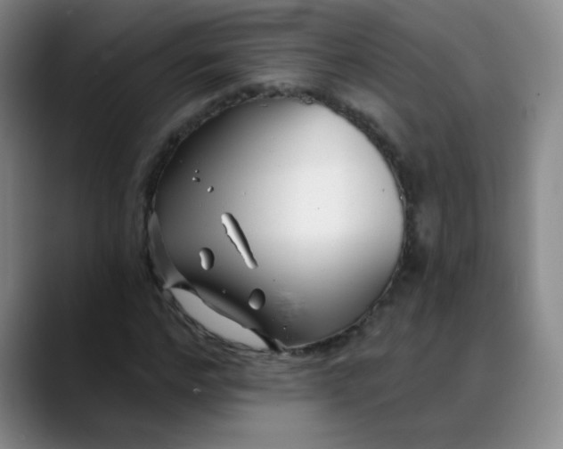 X0000088710968200706141445