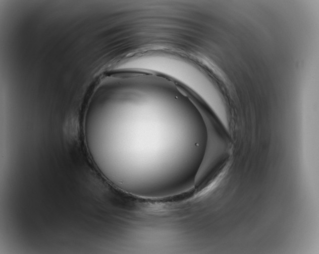 X0000088710969200706141445