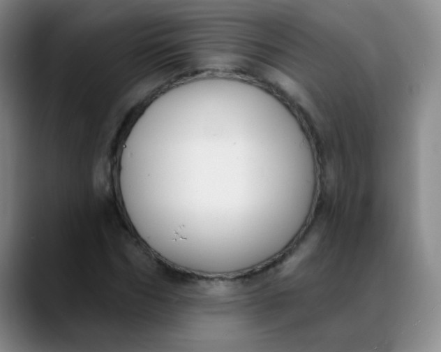 X0000088710970200706141445