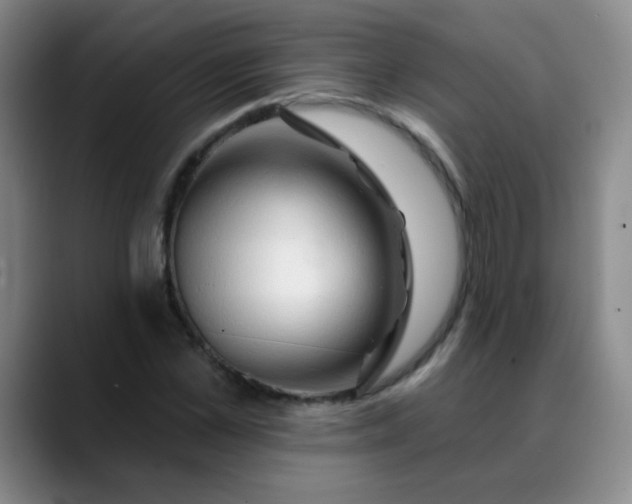 X0000088710973200706141445