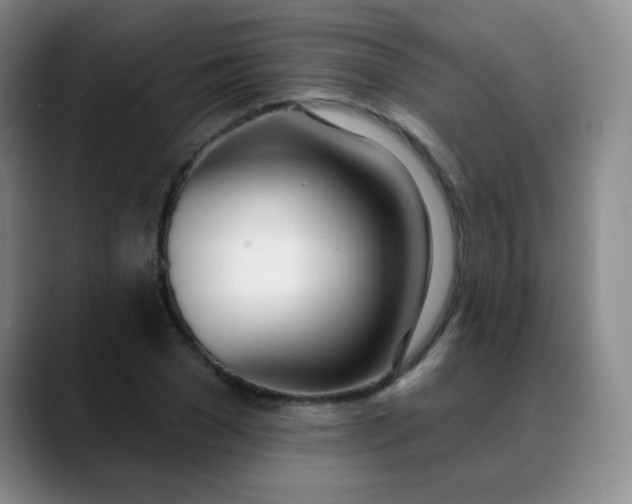 X0000088710977200706141445