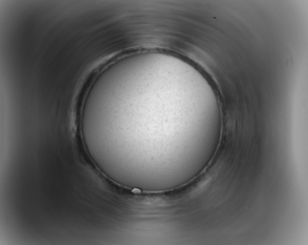 X0000088710979200706141445