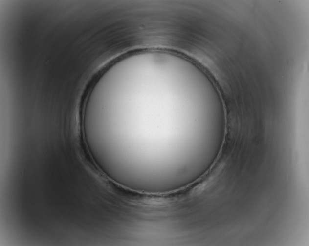 X0000088710982200706141445