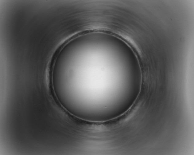 X0000088710983200706141445