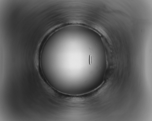 X0000088710984200706141445