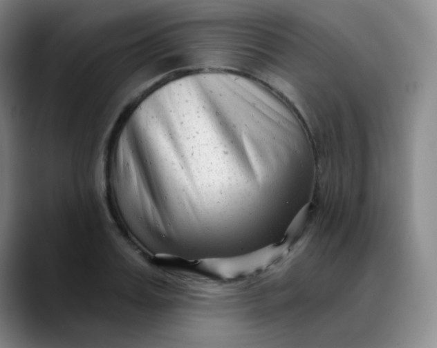 X0000088710987200706141445