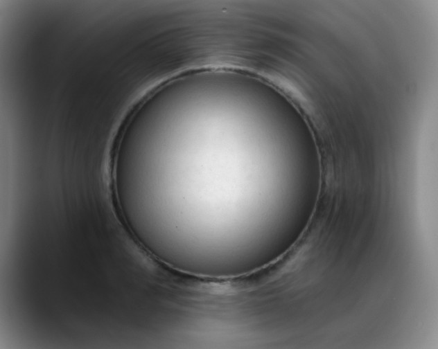 X0000088710990200706141445