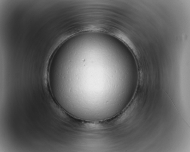 X0000088710994200706141445