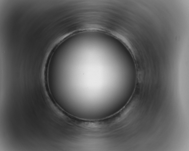 X0000088710995200706141445