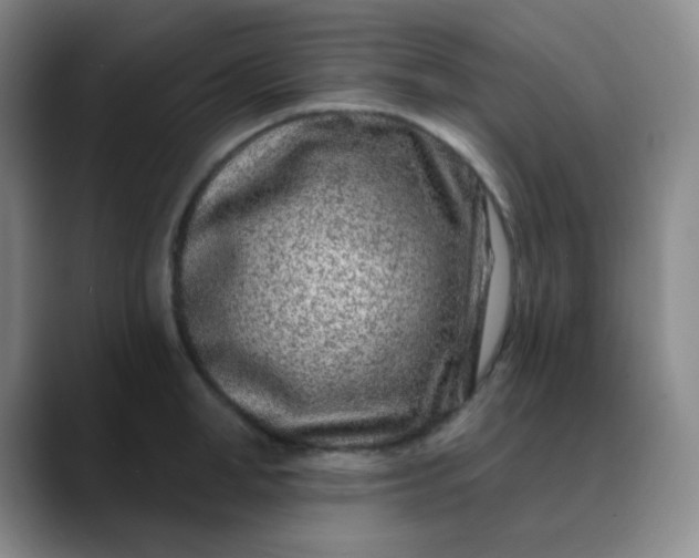 X0000088710998200706141445