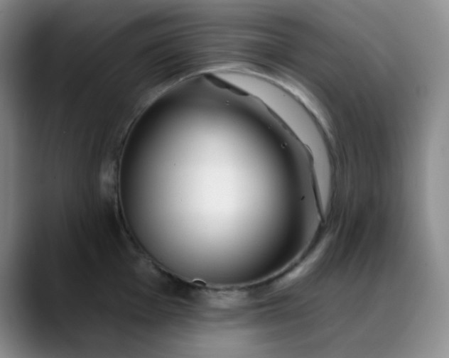 X0000088711001200706141445