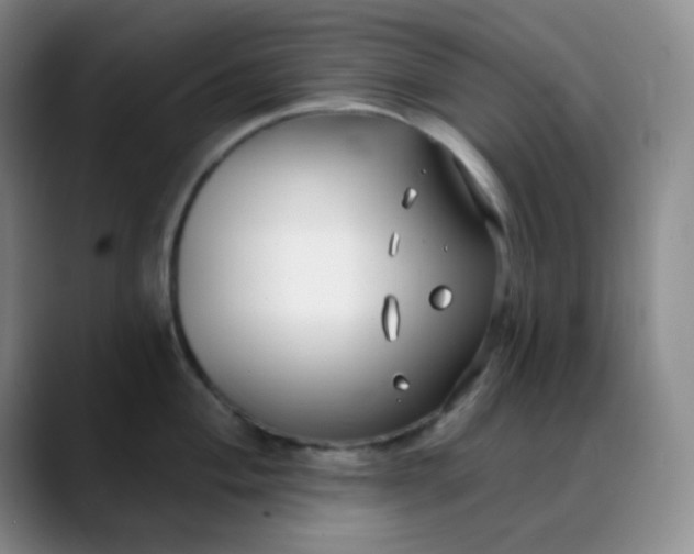 X0000088711004200706141445