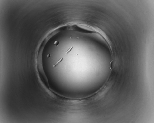 X0000088711005200706141445