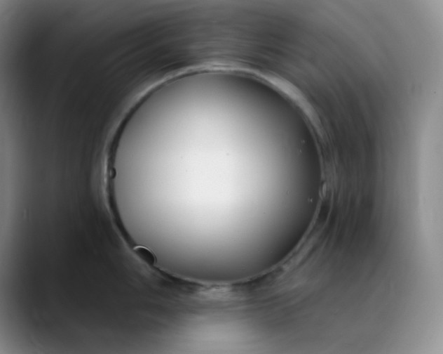 X0000088711006200706141445