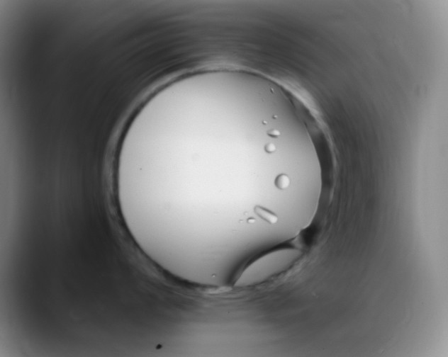 X0000088711008200706141445