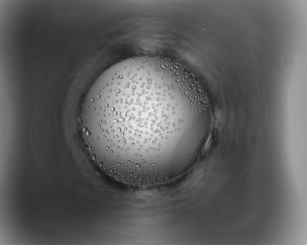 X0000088711009200706141444