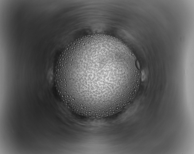 X0000088711011200706141444