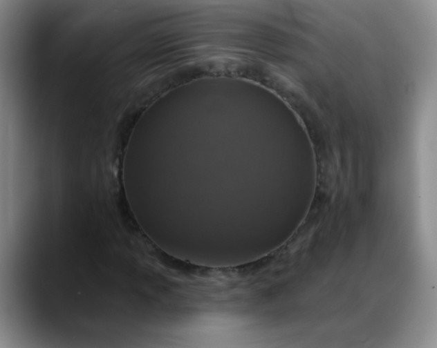 X0000088711013200706141444