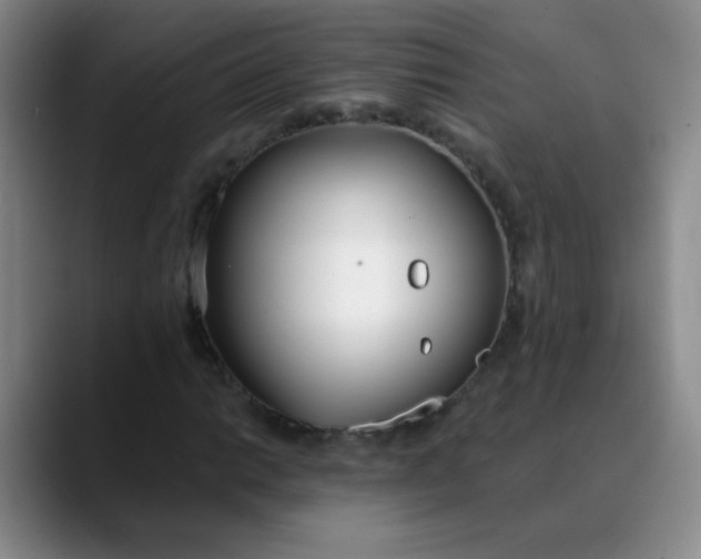 X0000088711014200706141444