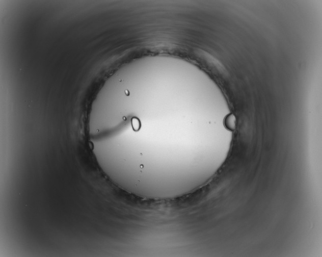 X0000088711016200706141444