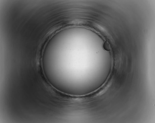 X0000088711017200706141444