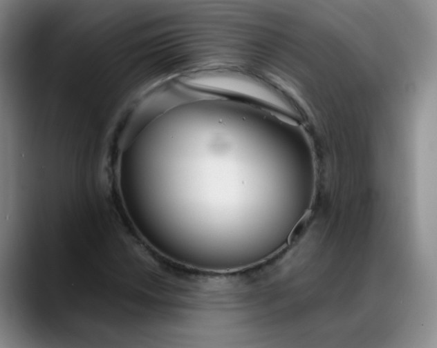 X0000088711018200706141444