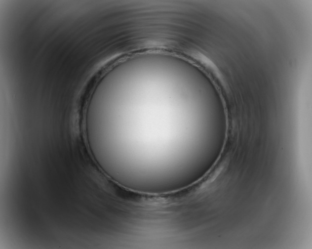 X0000088711019200706141444