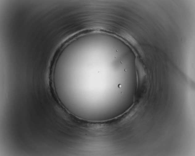 X0000088711020200706141444