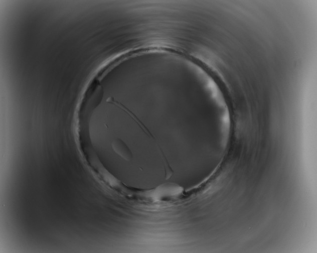 X0000088711024200706141444