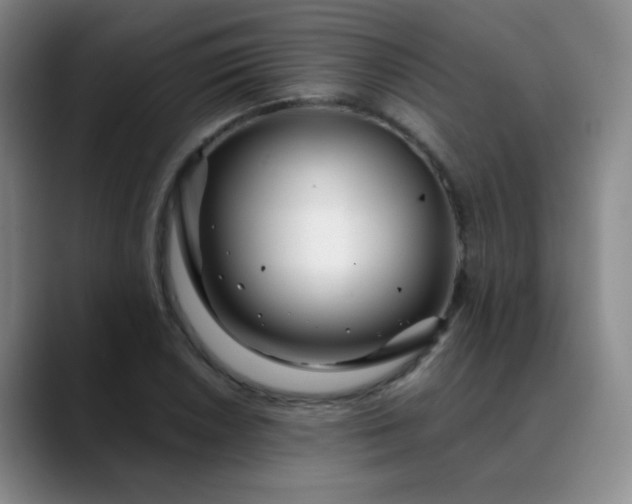 X0000088711026200706141444