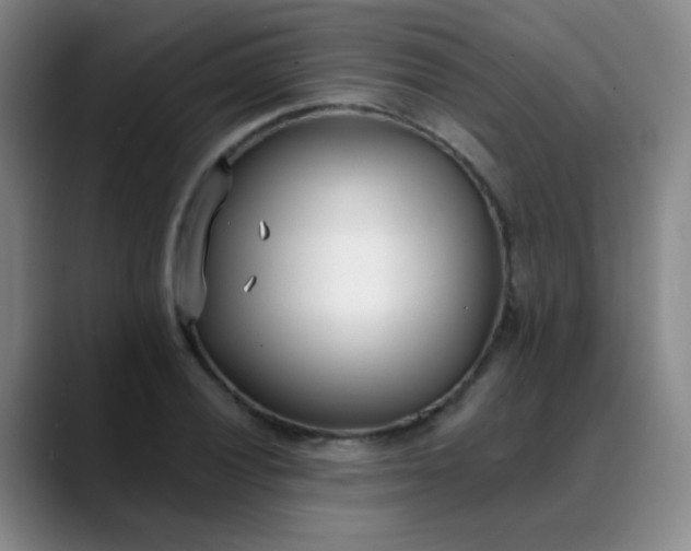 X0000088711028200706141444