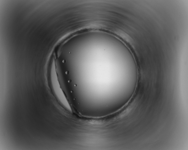 X0000088711029200706141444