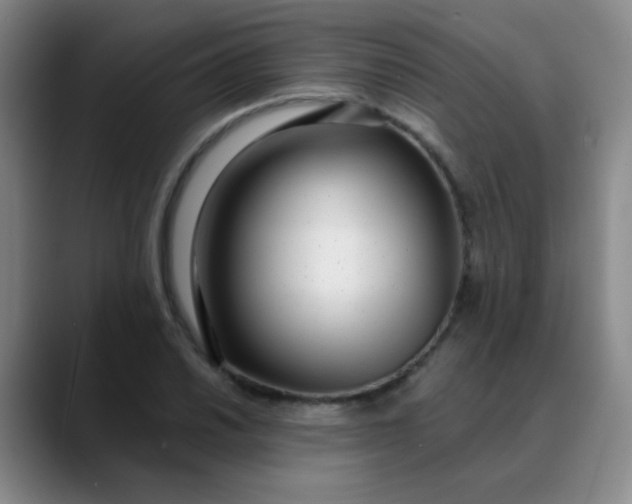 X0000088711030200706141444